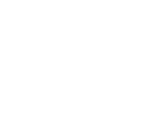 Logo Y